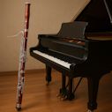 Elegy for Bassoon Img-E Elegy for Bassoon and Piano - Ron Miller (2025) - 5 minutes.