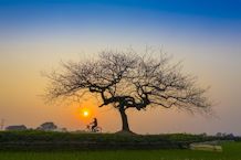 Overture to a Summer Afternoon, for Orchestra - Ron Miller (1992) -- approx. 4-1/2 minutes