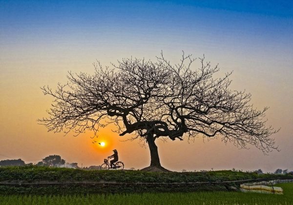 Overture to a Summer Afternoon, for Orchestra - Ron Miller (1992) -- approx. 4-1/2 minutes